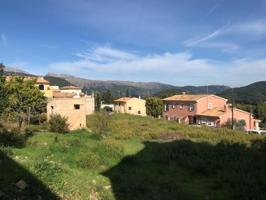 Terreno en venta en Campanet, Campanet photo 0