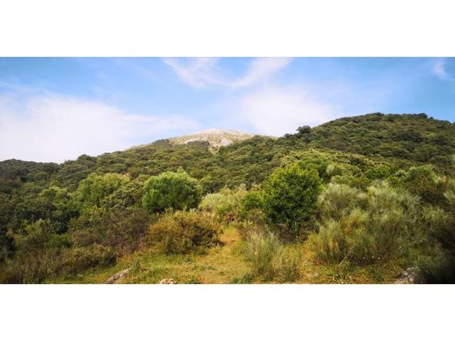 Casa con terreno en venta en Benadalid photo 0