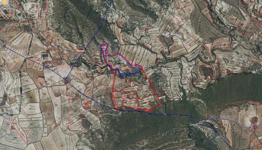 Terreno en venta en Mula, Mula photo 0