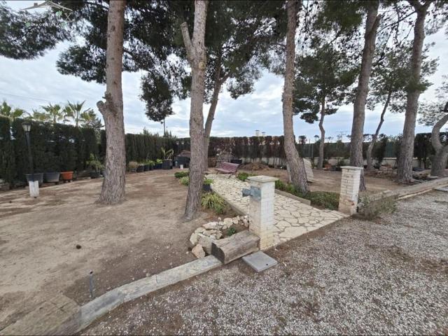 Casa con terreno en venta en Monforte del Cid, Comunidad valenciana photo 0