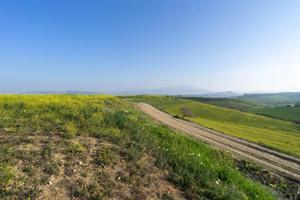 Terreno en venta en Cártama, Diseminados photo 0