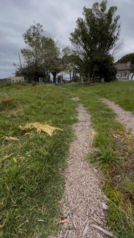 Terreno en venta en Ribeira, Palmeira photo 0