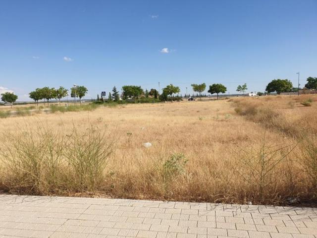 Terreno en venta en Tomelloso, Polígono 20 photo 0