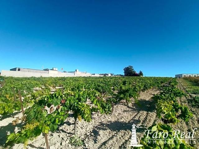 Terreno en venta en Sanlúcar de Barrameda, Camino de Carranza, 11540 photo 0