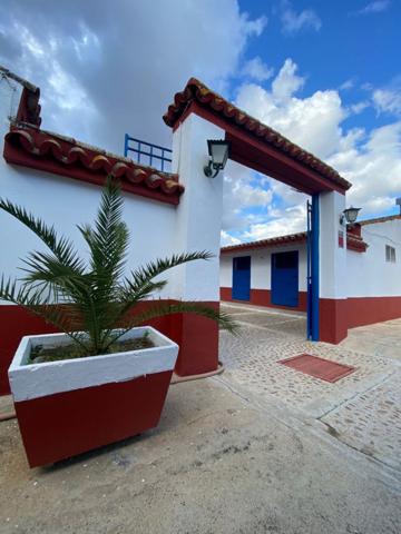 Terreno en venta en La Puebla del Río, La pilarica photo 0