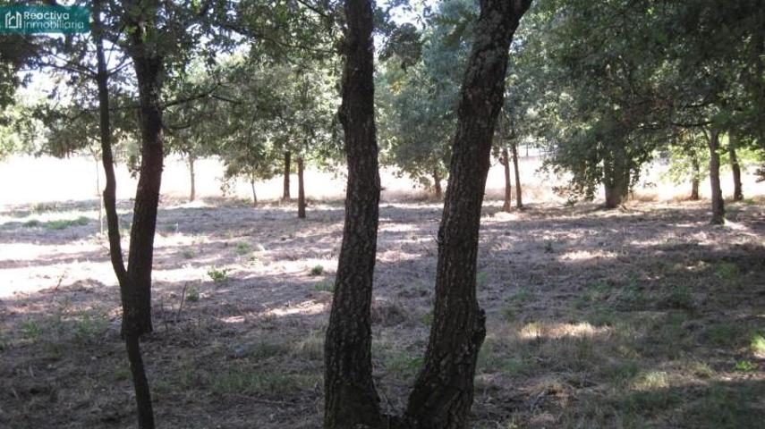 Terreno en venta en Celanova, Celanova photo 0