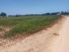 Terreno en venta en Elche, Perleta photo 0