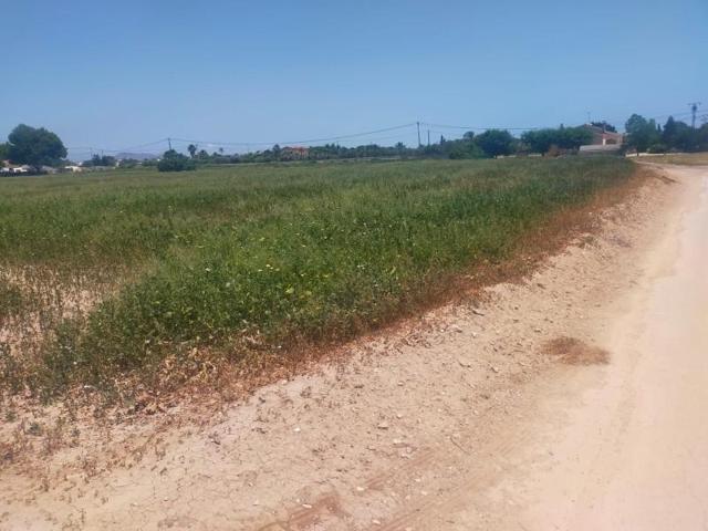 Terreno en venta en Elche, Perleta photo 0