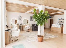 Local comercial en venta en Mallorca, Camp d\'en Serralta photo 0