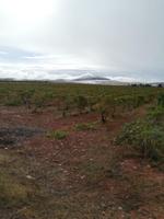 Terreno en venta en Almagro, Almagro photo 0