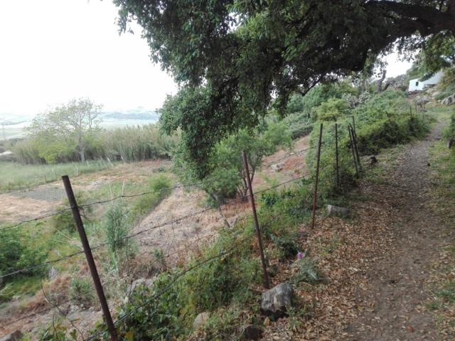 Terreno en venta en Tarifa, Facinas photo 0