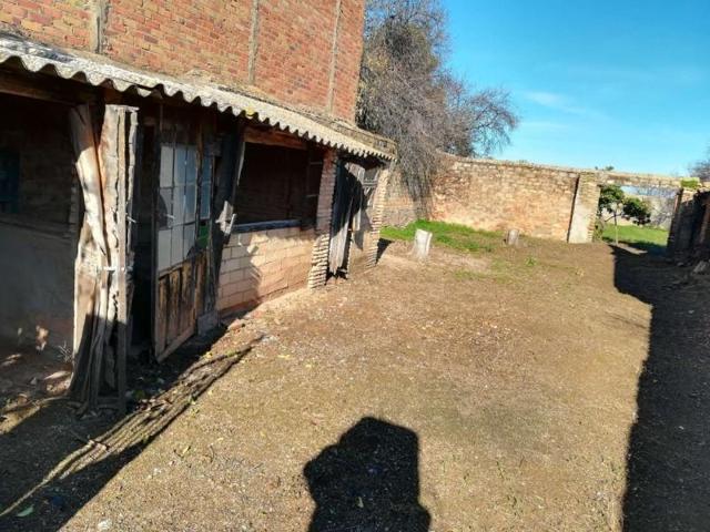 Terreno en venta en Olivares, OLIVARES photo 0