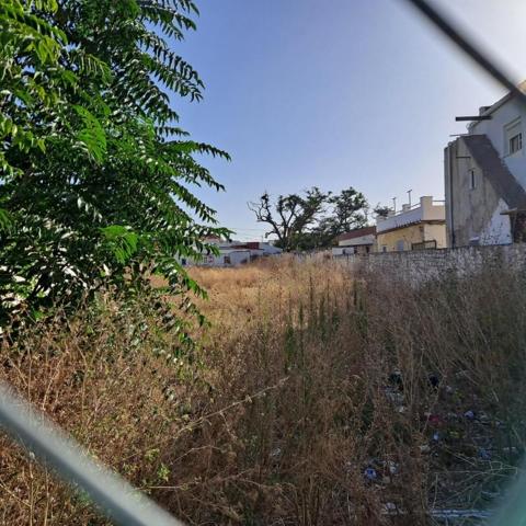 Terreno en venta en Sanlúcar de Barrameda, Monte Olivete photo 0