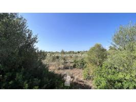 Terreno en venta en Sant Llorenç des Cardassar photo 0