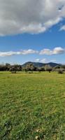 Terreno en venta en Llubí, AFUERAS DE LLUBI photo 0