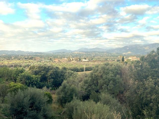 Terreno en venta en Campanet, Campanet photo 0