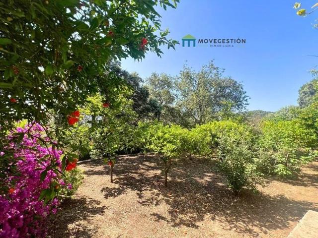 Casa con terreno en venta en El Bosque, Andalucia photo 0