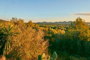 Terreno en venta en Manacor, Son Talent photo 0