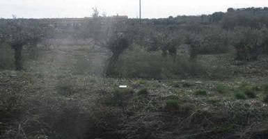 Terreno en venta en Cabanillas del Campo, Cabanillas photo 0