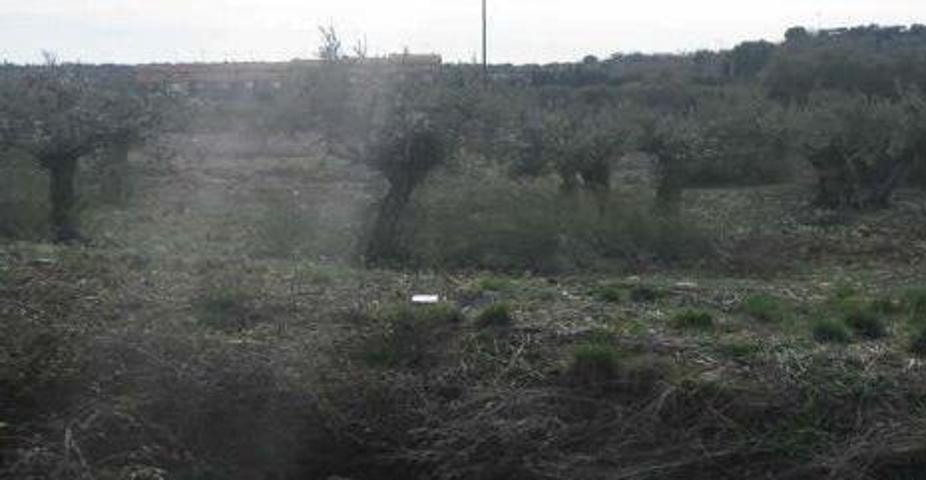 Terreno en venta en Cabanillas del Campo, Cabanillas photo 0