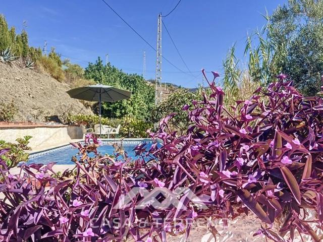 Chalet en venta en Sedella photo 0