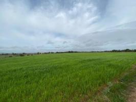 Terreno en venta en Felanitx, Felanitx photo 0