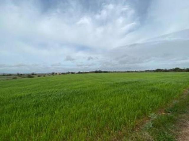 Terreno en venta en Felanitx, Felanitx photo 0