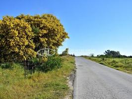 Terreno en venta en Chiclana de la Frontera, Camino Canarias, 11130 photo 0