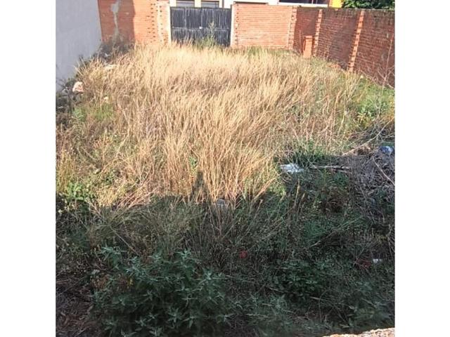 Terreno en venta en Fuente el Saz de Jarama photo 0