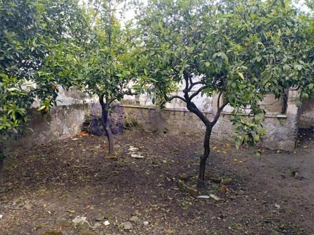 Chalet en venta en Arroyo de la Luz photo 0