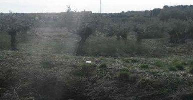 Terreno en venta en Cabanillas del Campo, Cabanillas photo 0