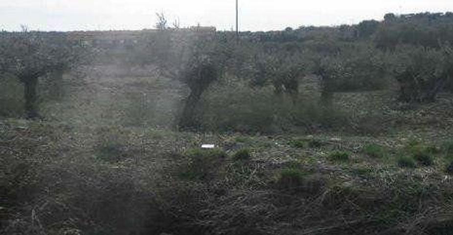 Terreno en venta en Cabanillas del Campo, Cabanillas photo 0