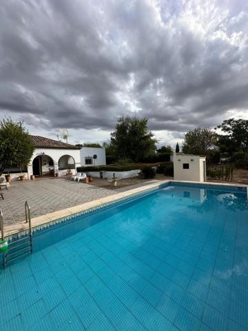 Chalet en venta en Marchena, Andalucia photo 0