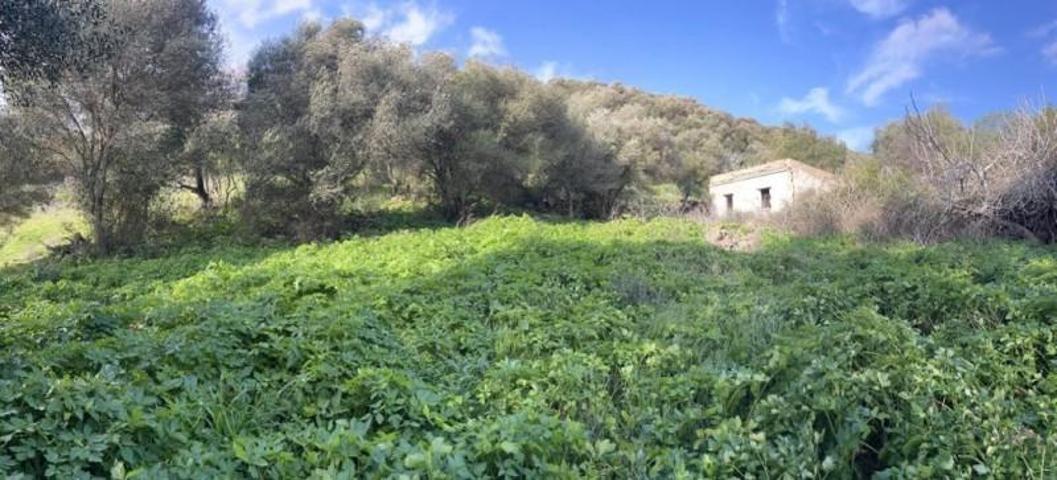 Chalet en venta en Vejer de la Frontera, Valdecabras photo 0