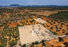 Terreno en venta en Llucmajor, Llucmajor (Campo) photo 0