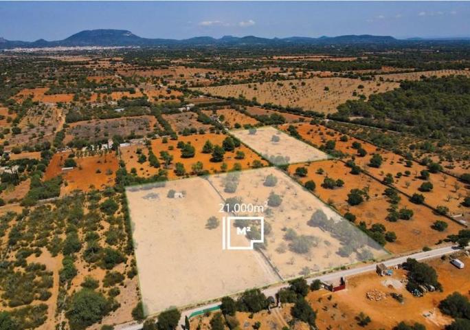 Terreno en venta en Llucmajor, Llucmajor (Campo) photo 0