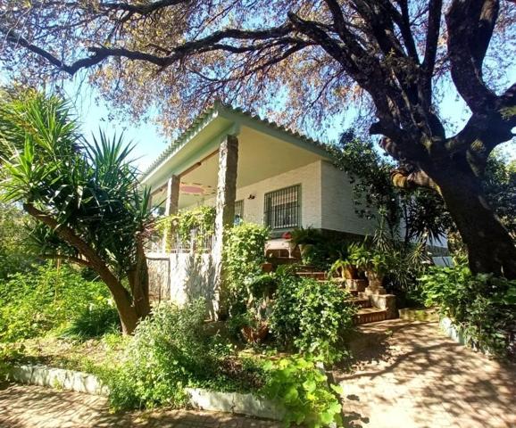 Casa en venta en Castilblanco de los Arroyos, Castilblanco de los Arroyos photo 0
