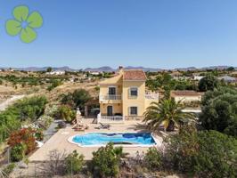 Chalet en venta en Albox, Las labores photo 0