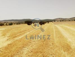 Terreno en venta en Valsequillo, Valsequillo, Valsequillo photo 0