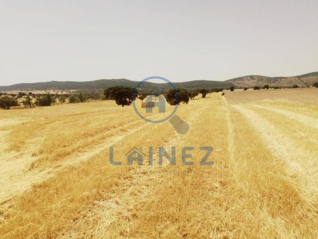 Terreno en venta en Valsequillo, Valsequillo, Valsequillo photo 0