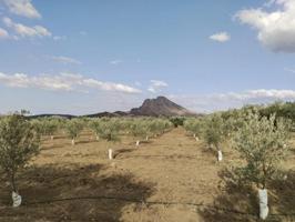 Casa con terreno en venta en Antequera, La Verónica - La Vega photo 0