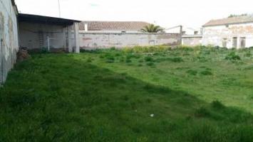 Terreno en venta en Argamasilla de Alba, Argamasilla De Alba photo 0