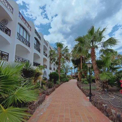 Apartamento en venta en San Miguel de Abona, Amarilla Golf photo 0