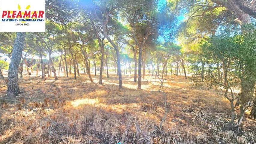 Terreno en venta en Chipiona, Pinar de la Villa photo 0