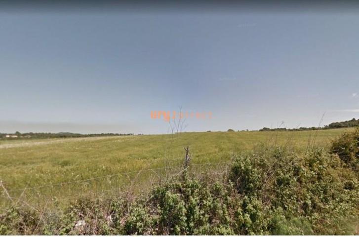 Terreno en venta en Porreres, Porreres campo photo 0
