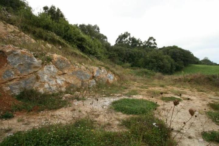 Terreno en venta en Ruiloba, Concha photo 0