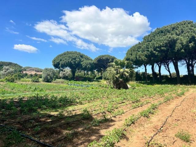 Casa con terreno en venta en Vejer de la Frontera, LA MUELA photo 0