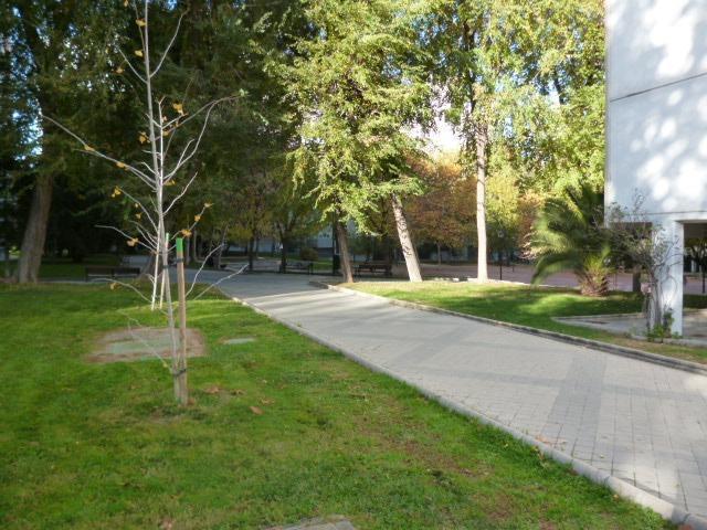 Piso en venta en Madrid, Moscardo photo 0