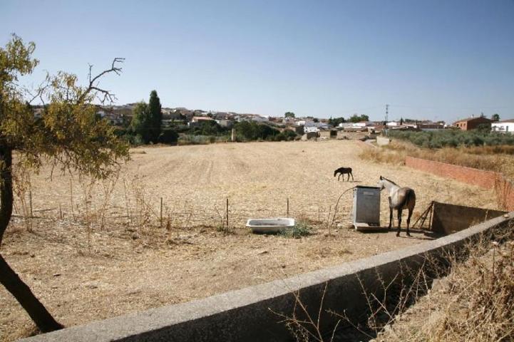 Terreno en venta en Usagre, Usagre photo 0