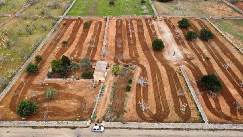 Terreno en venta en Santa Margalida, Santa Margalida photo 0